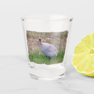Copo De Shot Guiné Fowl