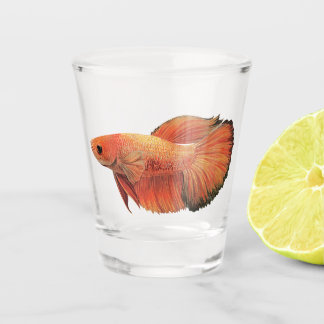 Copo De Shot Ilustração de betta macho laranja