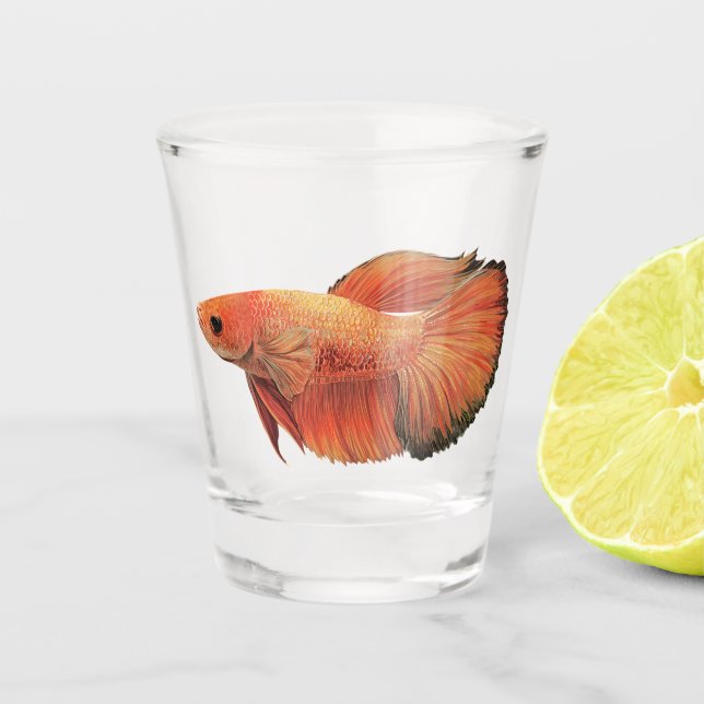 Copo De Shot Ilustração de betta macho laranja (Frente)