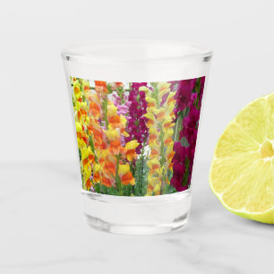 Copo De Shot Instantâneos corados