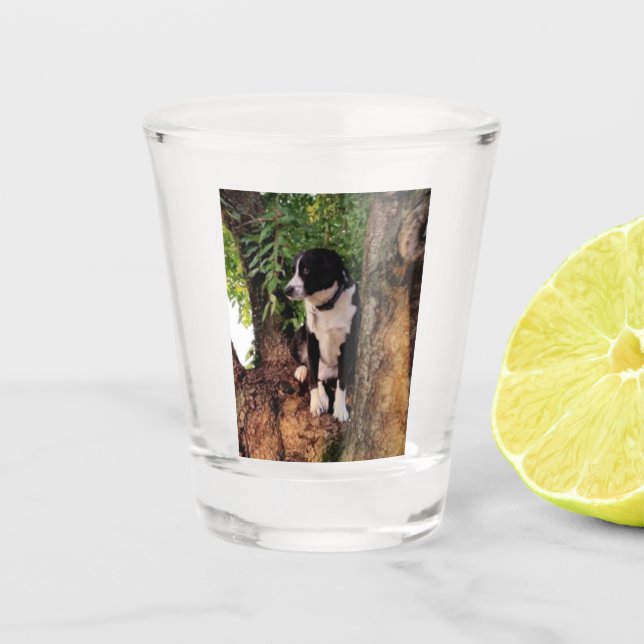 COPO DE SHOT JACK (Frente)