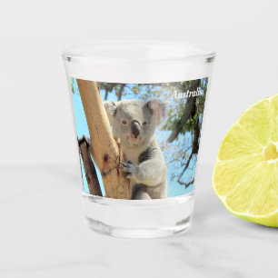 Copo De Shot Koala, de Down Down Sub - Austrália