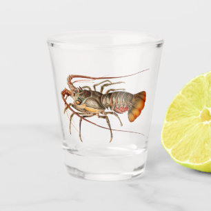 Copo De Shot Lagostim - Panulirus Regis