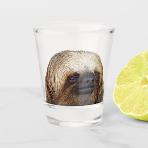 Copo De Shot Lama
