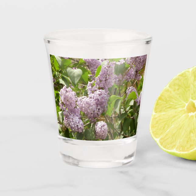Copo De Shot Lilac Bush Lindas Flores de primavera Roxas (Frente)