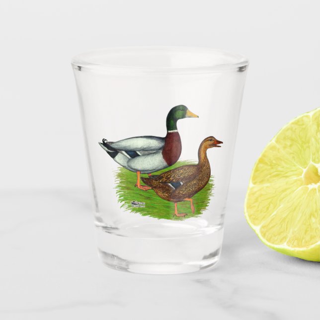 Copo De Shot Mallard Drake e Duck (Frente)