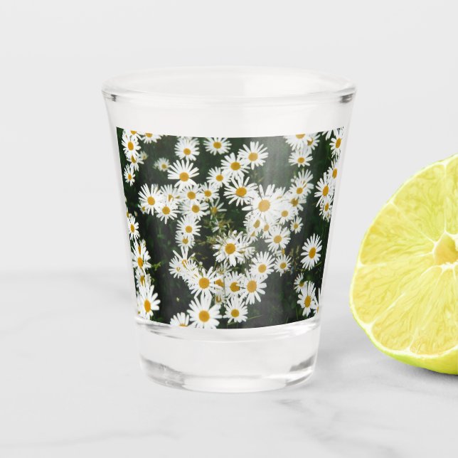 Copo De Shot Margarida Branca de Oxeye, Moon Daisy Meadow (Frente)