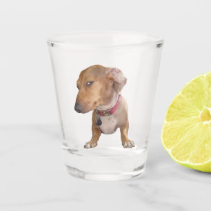 Copo De Shot Memória Do Cachorro Do Lado Do Vidro
