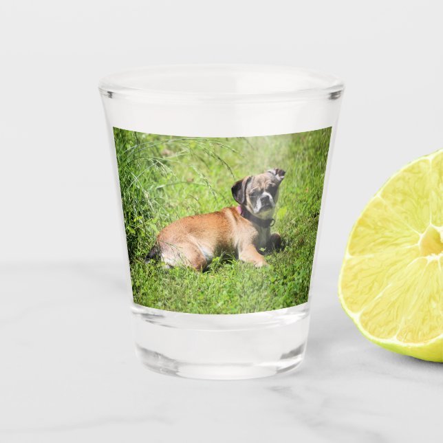 Copo De Shot Molly (Frente)