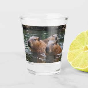 Copo De Shot Natação dos capivaras no rio,