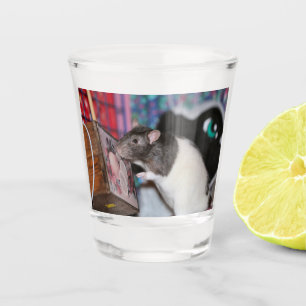 Copo De Shot Nosey Rat