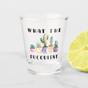 Copo De Shot O que é o Fucculent