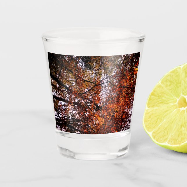 Copo De Shot O topo das árvores (Frente)