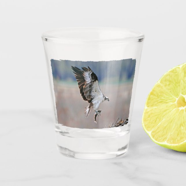Copo De Shot Osprey (Frente)