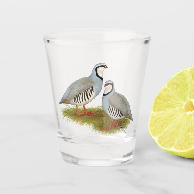 Copo De Shot Par de Chukar Partridge (Frente)