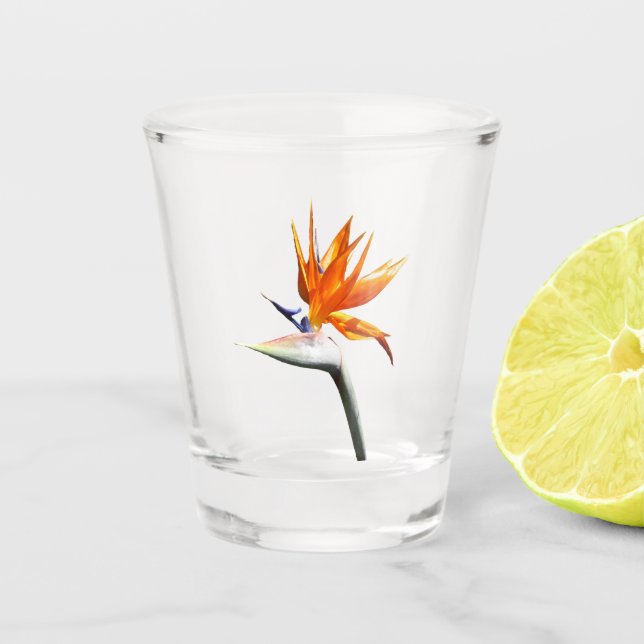 Copo De Shot Pássaro da Flor Tropical Laranja do Paraíso (Frente)