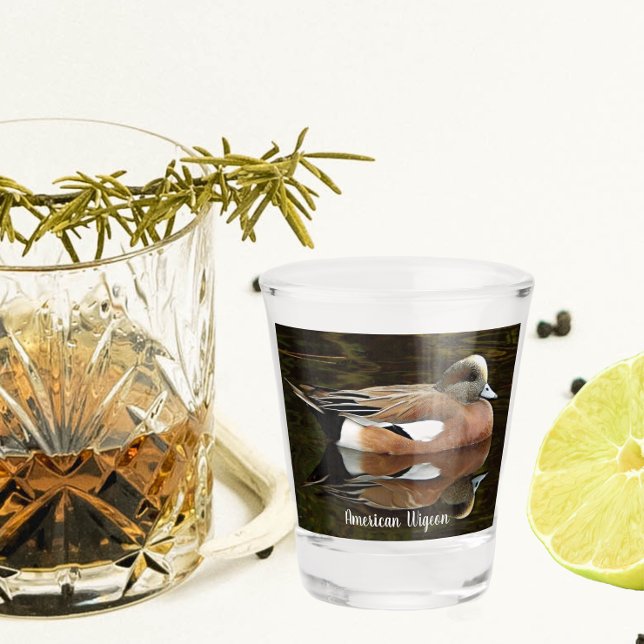 Copo De Shot Pato Americano Wigeon no Pond (In Situ)