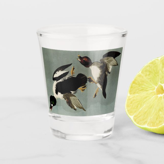 Copo De Shot Pato-de-ouro-comum (Frente)