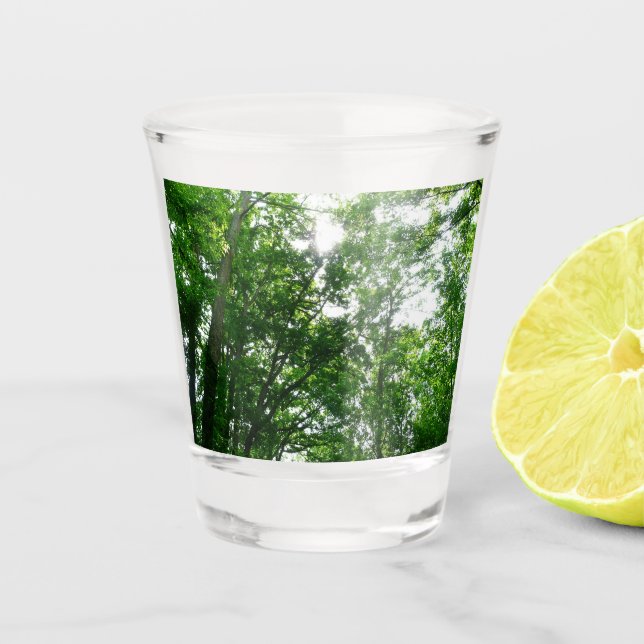 Copo De Shot Procurando Árvores de Verão (Frente)