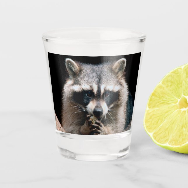 Copo De Shot Raccoon 004 (Frente)