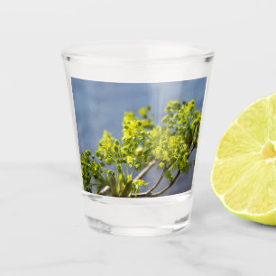 Copo De Shot Ramificação verde-branca no vento