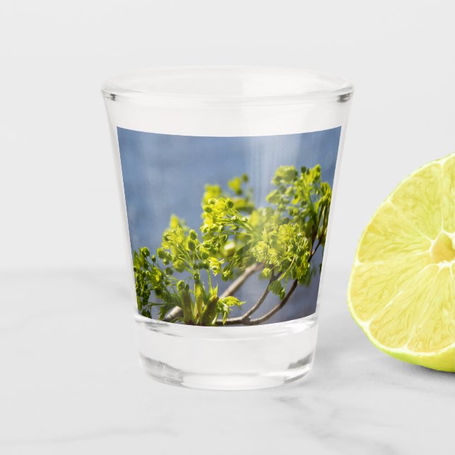 Copo De Shot Ramificação verde-branca no vento (Frente)