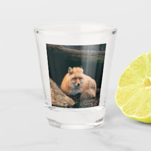 Copo De Shot Raposa Vermelha Dormindo