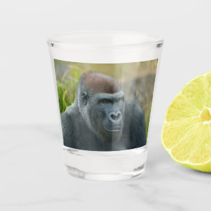 Copo De Shot Regal Blackback Gorilla
