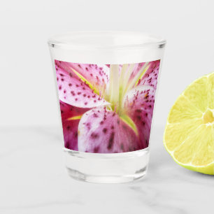 Copo De Shot Stargazer Lily Bright Magenta Floral