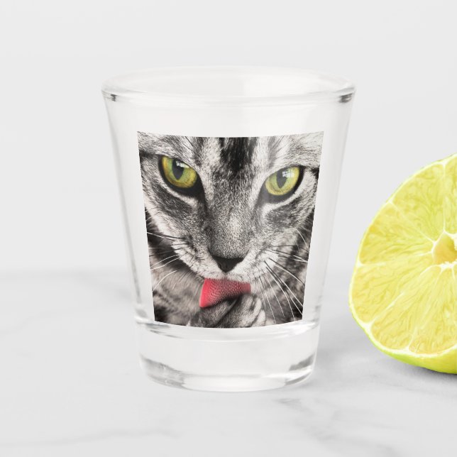 Copo De Shot Tabby Cat Licing Paw (Frente)