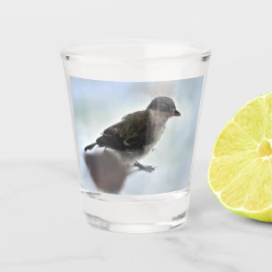 Copo De Shot Tidi, meu Pássaro, o Parus Major