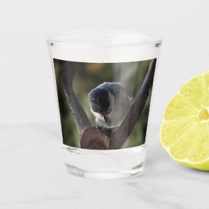 Copo De Shot Tidi, meu Pássaro, o Parus Major