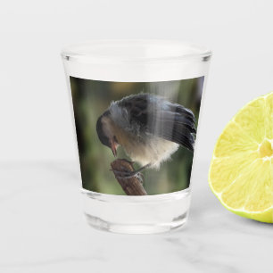 Copo De Shot Tidi, meu Pássaro, o Parus Major