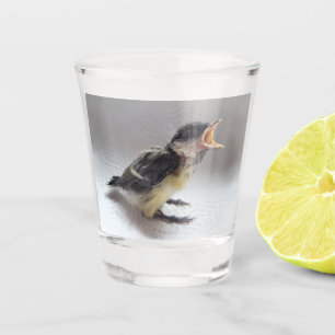 Copo De Shot Tidi, meu Pássaro, o Parus Major
