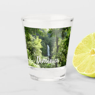 Copo De Shot Traffic Falls Tropical RainForest Fotografia