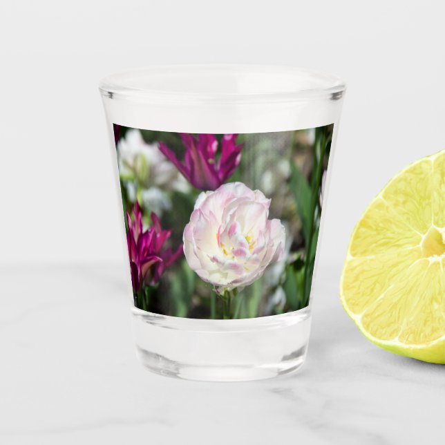 Copo De Shot Tulipas cor-de-rosa brilhantes num dia ensolarado (Frente)