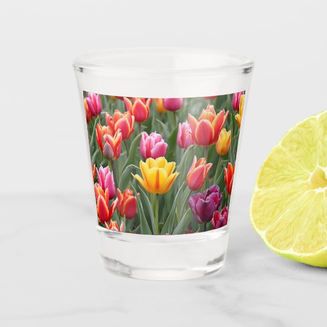 Copo De Shot Tulipas Holandesas (Frente)