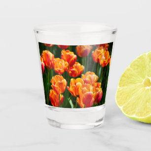 Copo De Shot Tulipas laranja-claras no parque