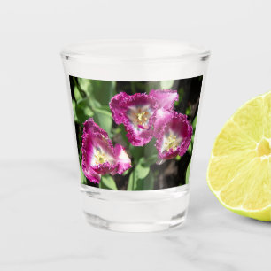 Copo De Shot Tulipas púrpuras e brancas no jardim
