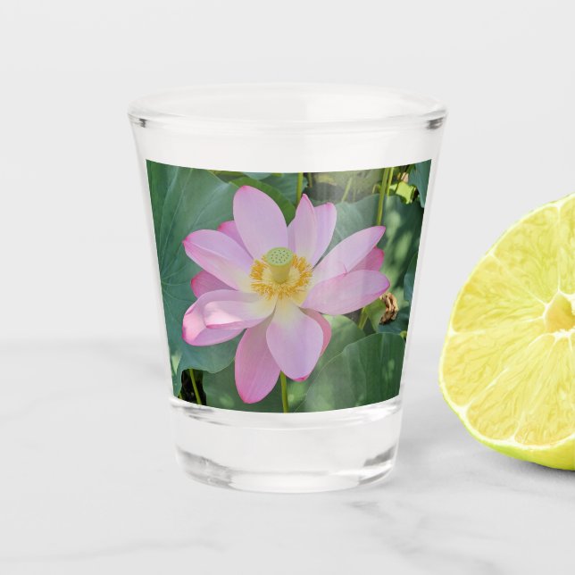Copo De Shot Uma flor de lótus vibrante (Frente)