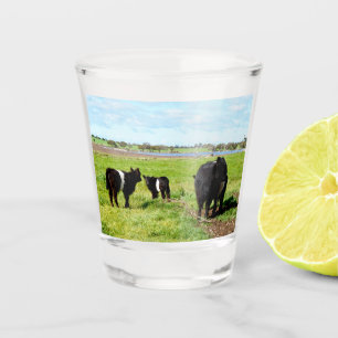 Copo De Shot Vaca Múmia E Bebê Galloway, Vidro Com Atiras