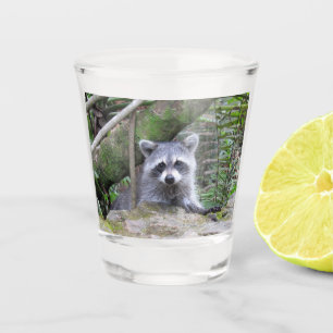 Copo De Shot Vidro Adorável De Bebê Raccoon