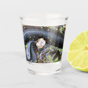 Copo De Shot Vidro de Cobra de Algodão