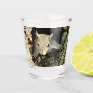 Copo De Shot Vidro de Ninho de Esquilo