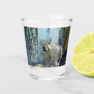 Copo De Shot Vidro de Queda de Esquilo