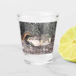 Copo De Shot Vidro de Queda de Esquilo