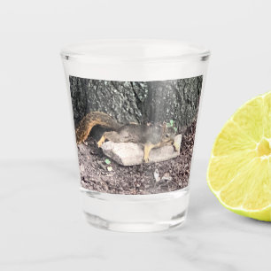 Copo De Shot Vidro de Queda de Esquilo