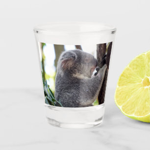 Copo De Shot Vidro de tiro do urso de Koala