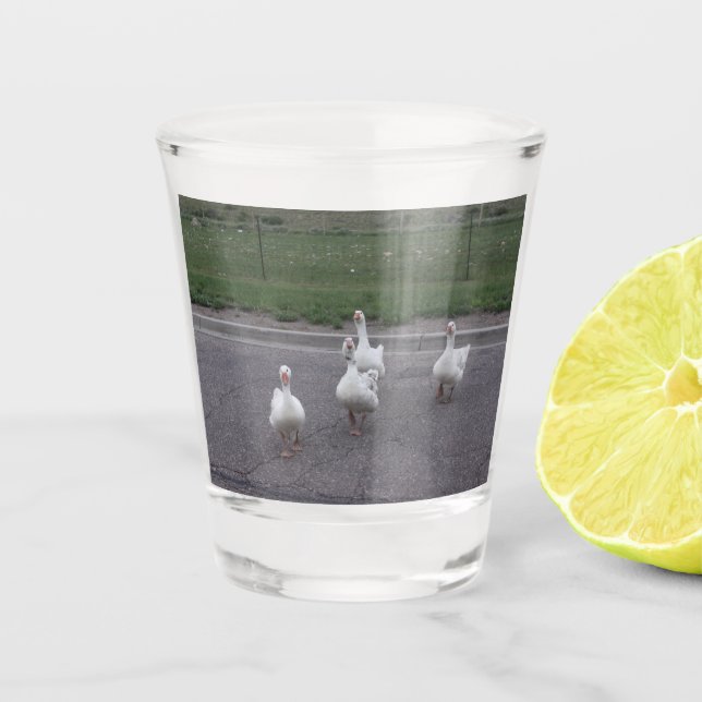 Copo De Shot Vidro Shot Pato (Frente)