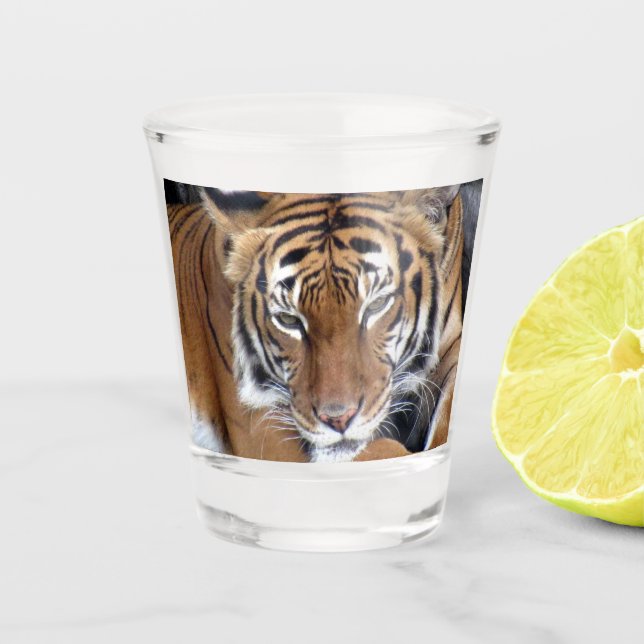 Copo De Shot Vidro Shot Tiger (Frente)